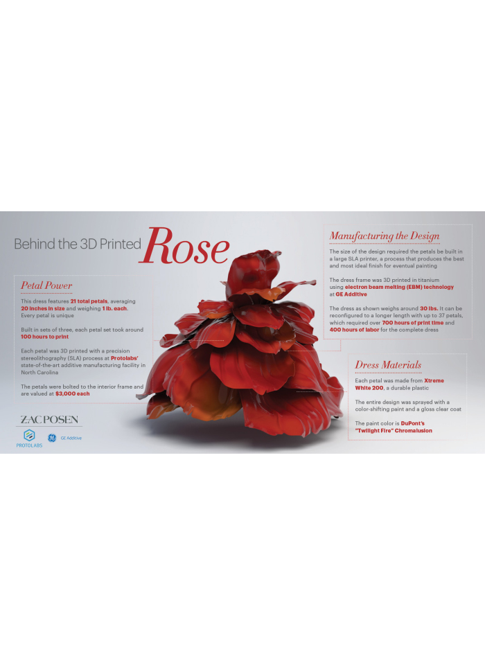 Manufacturing The Rose Infographic